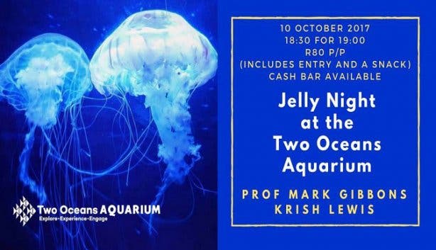 jelly night