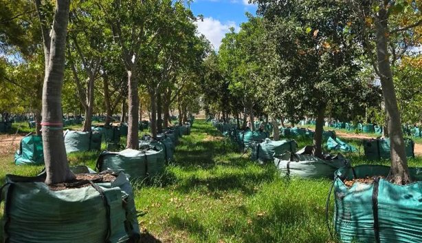 Human Rights Day 2026 2