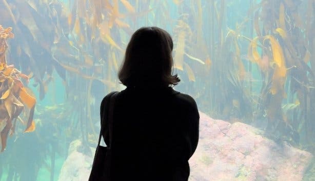 Two Oceans Aquarium free birthday entry