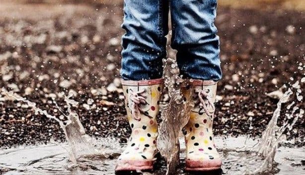 day_at_the_duck_races