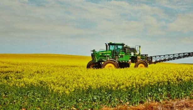 B-Well_South_Africa_Canola_field