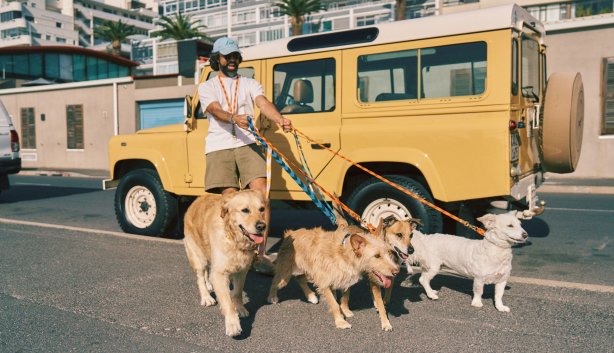 Community Dog Walk /weekend - Chommies