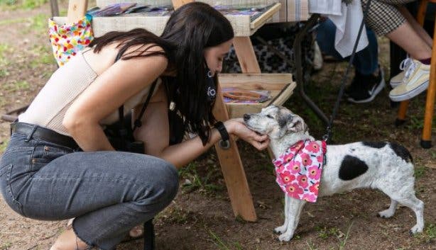 Rondebosch_Park_Market_Cape_Town_dog
