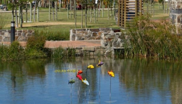 Green Point Park 2025 - @ceramicszizamele