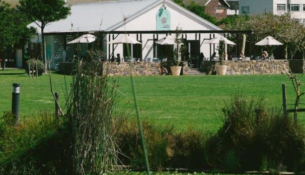 Green Point Park 2025 - @parkcafect