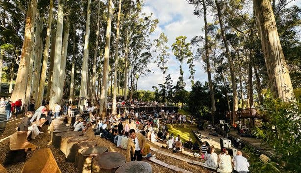 Paul Cluver concerts new 