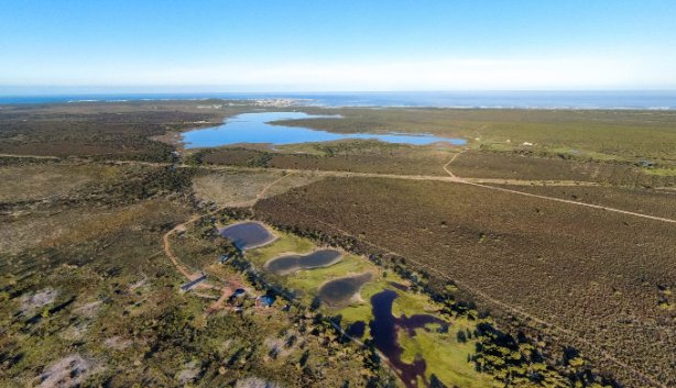 Cape Town’s closest land and sea game drive safari