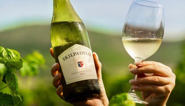 Sunflower Festival 2025