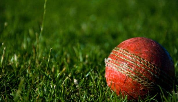 cricket ball