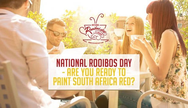 National Rooibos Day in Clanwilliam