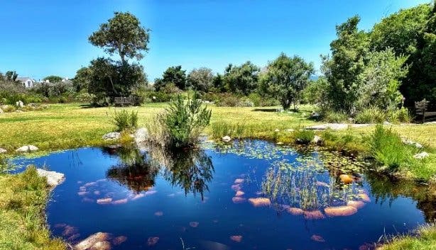Harold Porter pond
