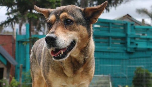 TEARS fashion show /weekend