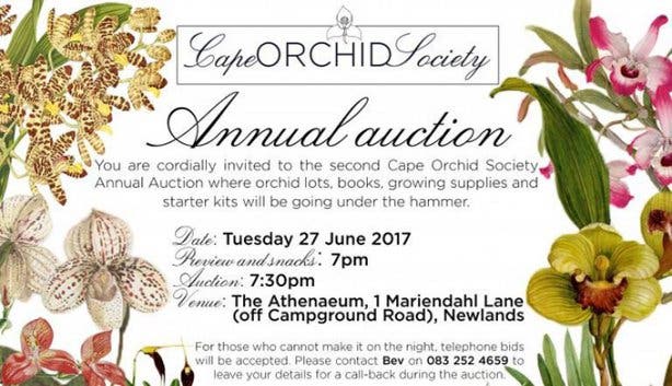 Orchid Auction - 2