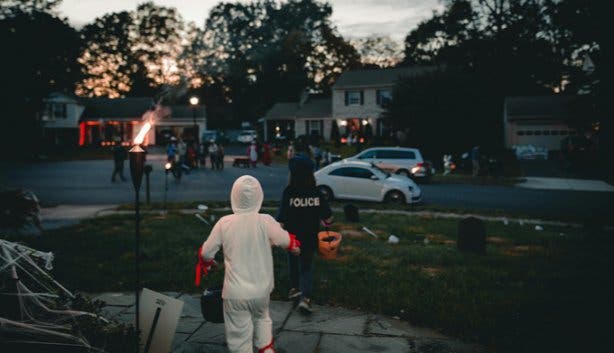 Kirstenhof night walk 