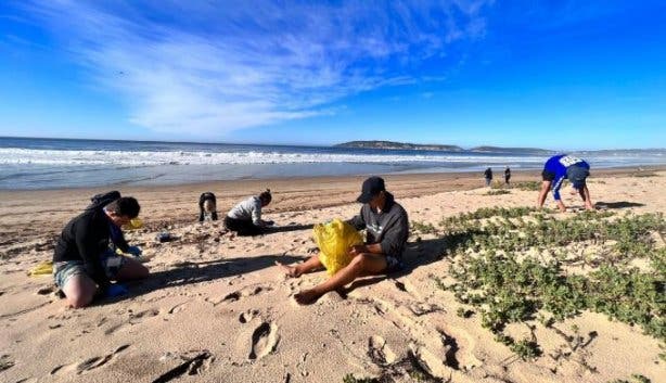 Plett Ocean festival 2025 beach clean up