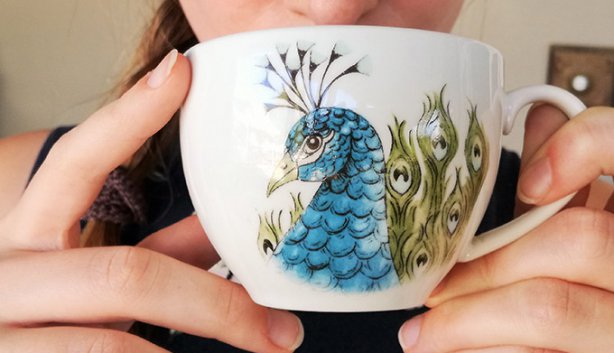 National Rooibos Day in Clanwilliam