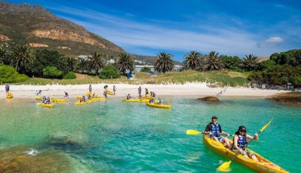 Team building 2025 Gravity Adventures