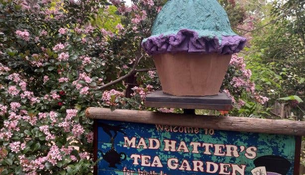 Hidden Dragon Magic Garden