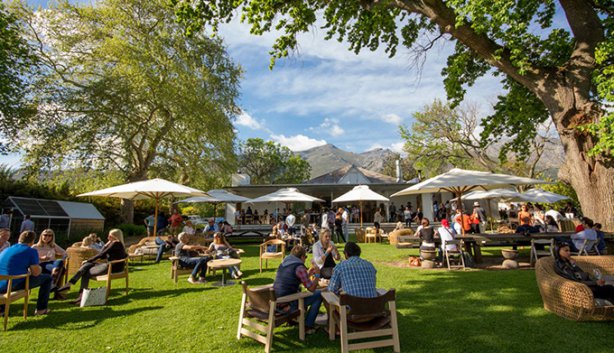 Franschhoek Uncorked - 3