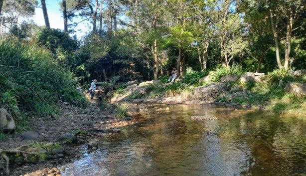 Upper Liesbeek River Garden Newlands Cape Town river