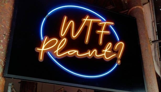 WTF Plant?