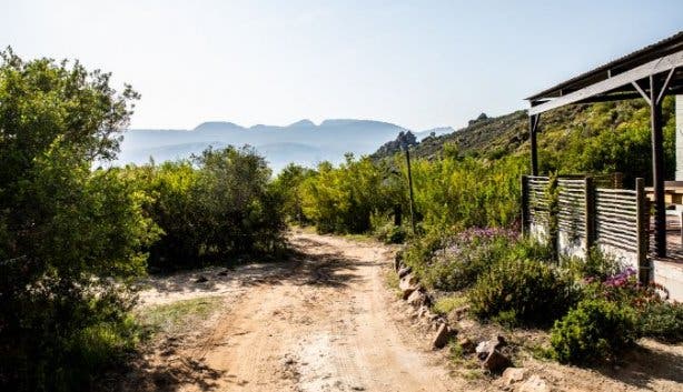 Cederkloof Botanical Retreat