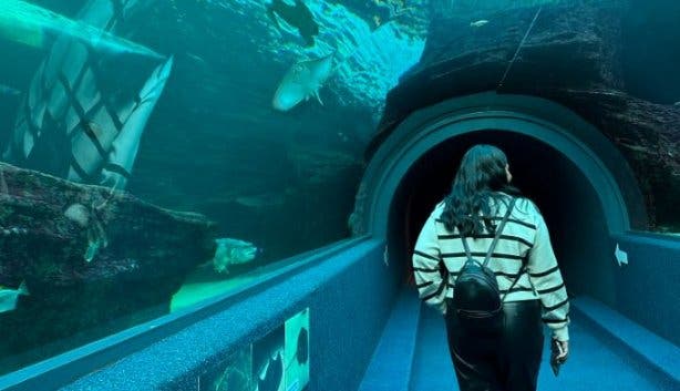 Two Oceans Aquarium tunnel