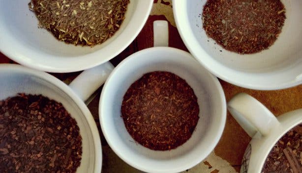 National Rooibos Day in Clanwilliam