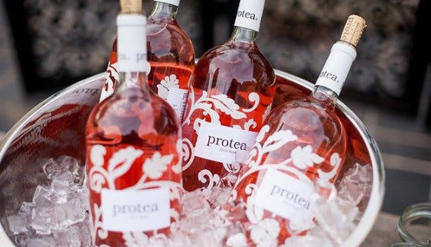 Protea Party - Anthonij Rupert - 2