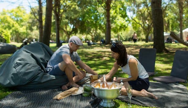 Full Moon Picnic at Boschendal