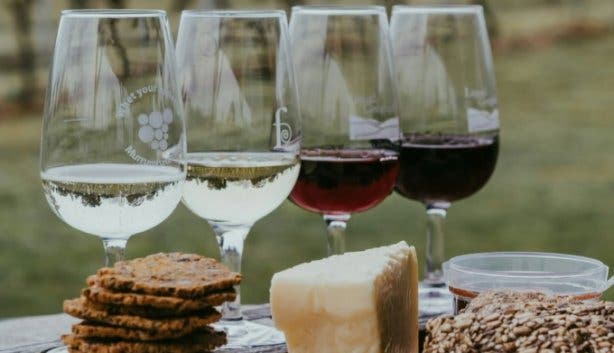 Wild Fig wine festival /weekend