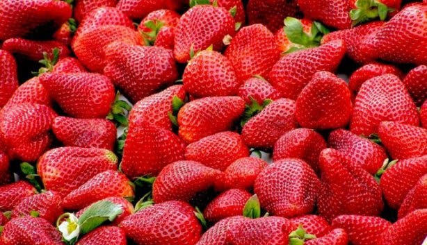 strawberry_stock_image
