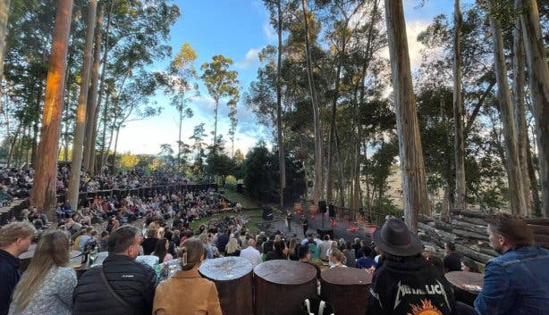 Paul Cluver concerts