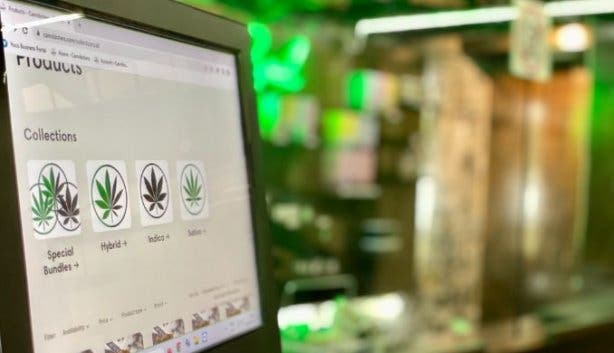 Cannibisters weed delivery
