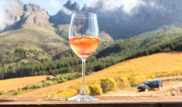 Stellenbosch Wine Festival 23 - 25 Feb 2018 - 1