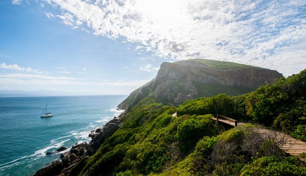 Plett Ocean Festival 2026