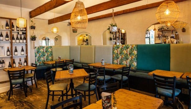 pear tree new image 2