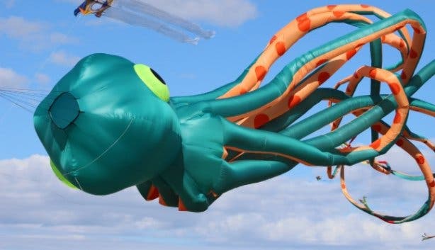 Kite Festival 2021_Octopus