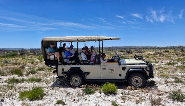 West Coast Safaris 2025