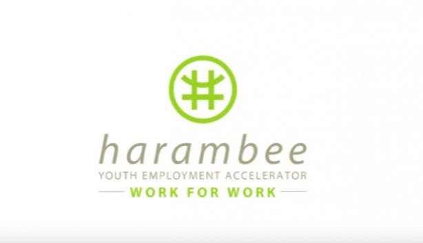 Harambee Youth Employment Accelerator
