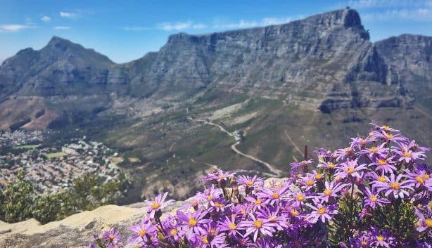 tafelberg spring lente uitzicht