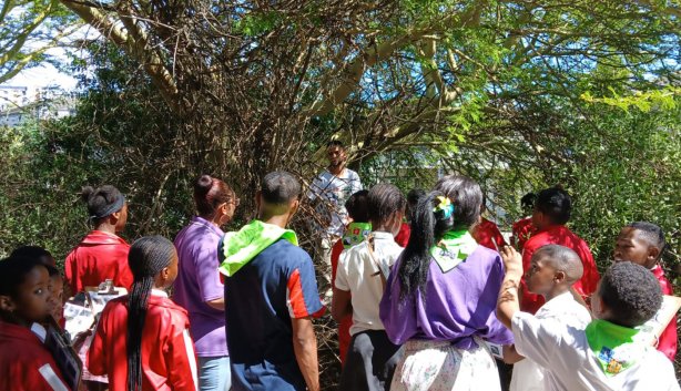 century city 1 kids new