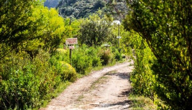 Cederkloof Botanical Retreat hiking trails