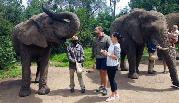 Xplore Tours CT Elephant Sanctuary 3