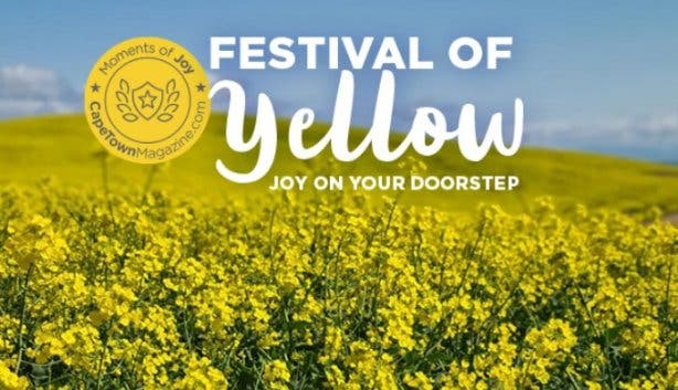 Festival of Yellow