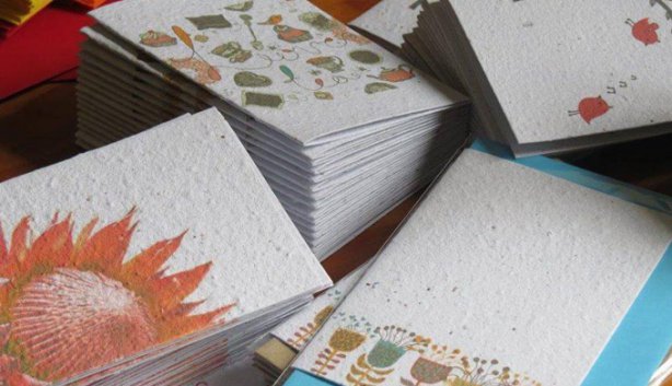 The Bear Necessities