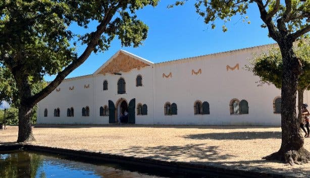 Free OV Groot Constantia - @shanelle.maduray