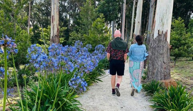 Paul Cluver concerts new 