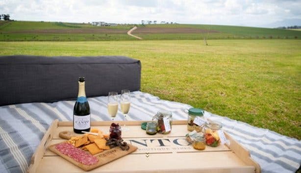 Canto Wines picnics