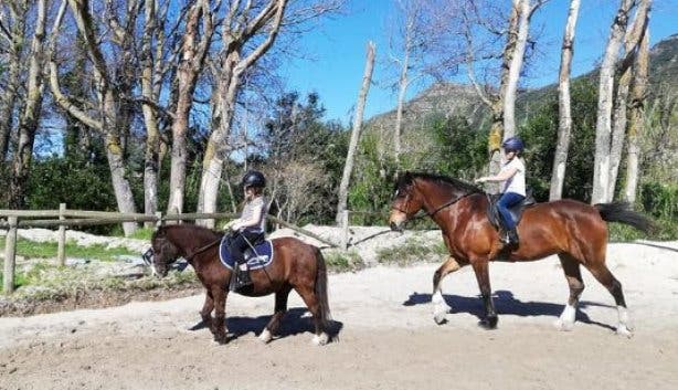 Riding_Centre_Hout_Bay_Cape_Town_ pony_rides